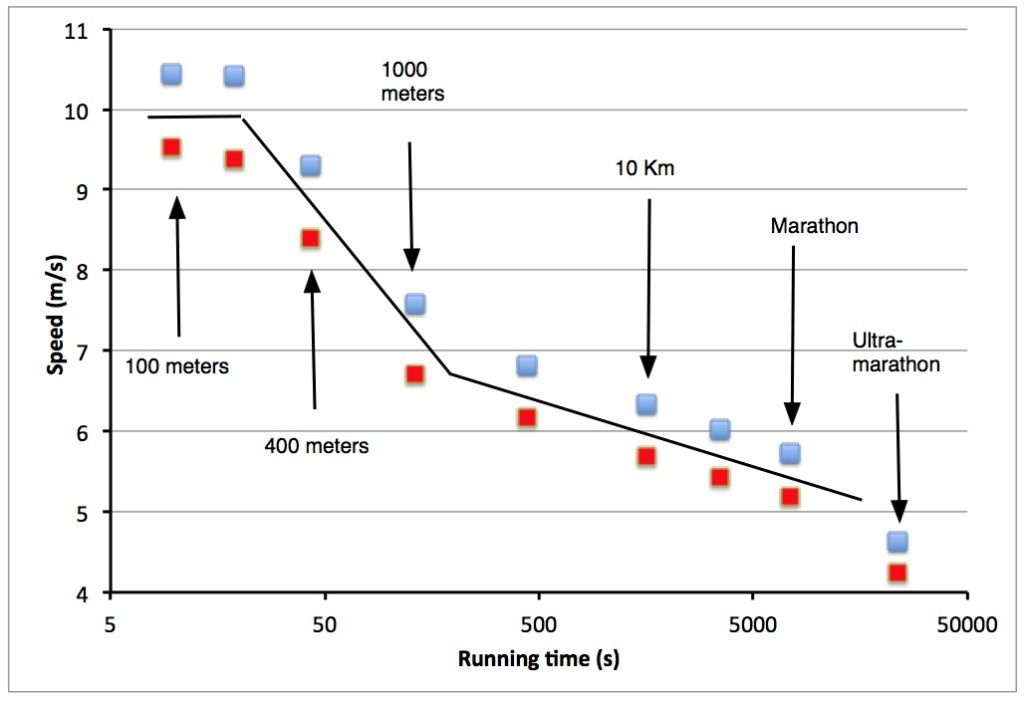 what is the average speed of a human