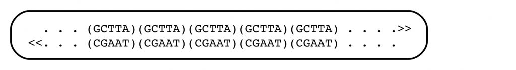 Variable Number of Tandem Repeats