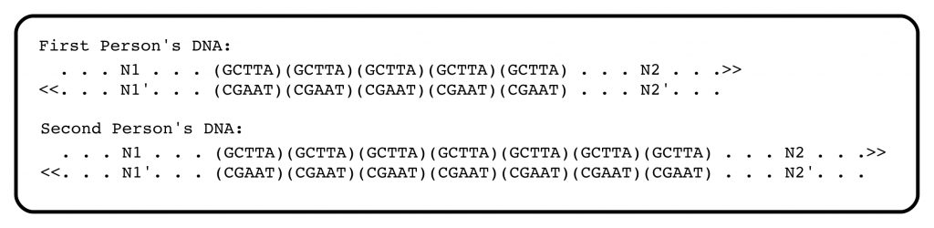 Variable number Tandem repeats