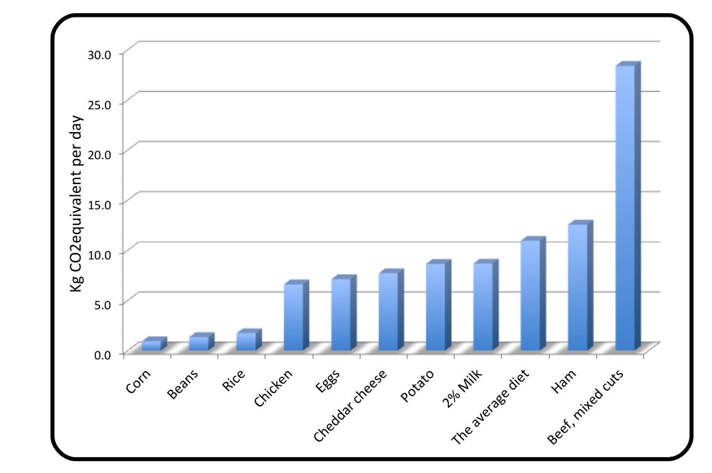 CO2e cost of different "monodiets"