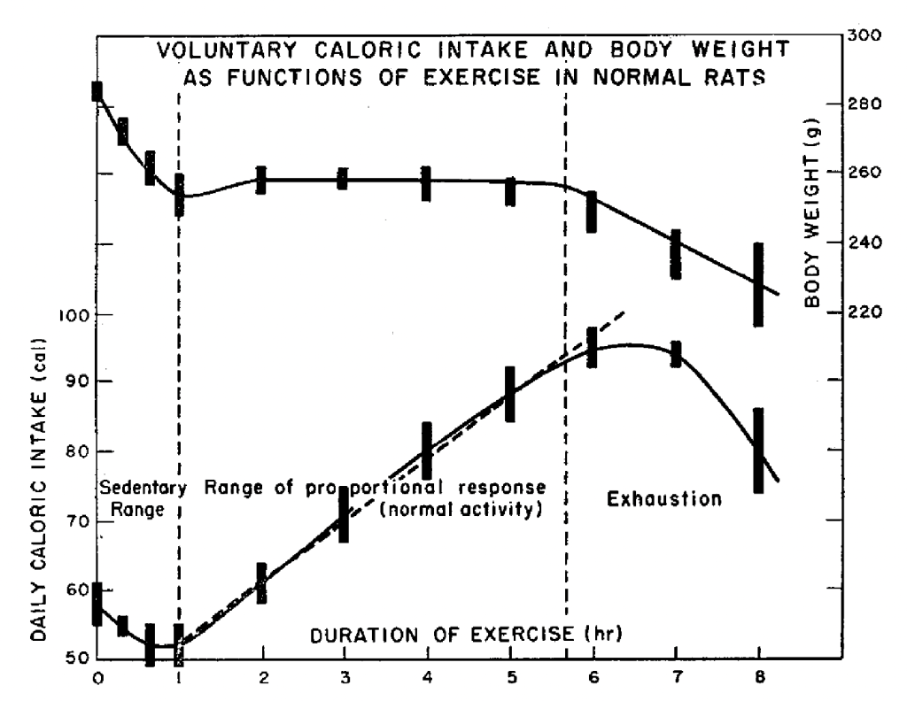 Food intake vs work