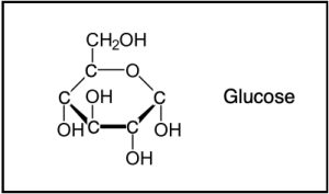 Haworth structure of glucose